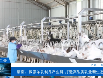 【渭南工信】渭南：做强羊乳制品产业链 打造高品质乳业新生态