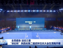 全民健身 运动三秦“体彩杯”陕西省第二届武林功夫大会在渭南开幕