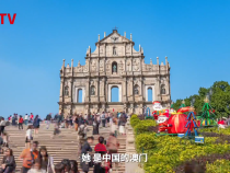 盛世莲开｜掌上明珠