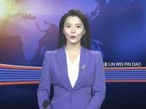 12月23日臨渭新聞