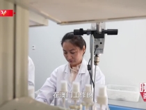 时政微纪录丨琴澳和鸣 共谱发展新篇