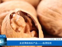 【相约知识产权】走进渭南地标产品——临渭核桃