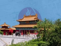 《总书记的回信》比利时篇