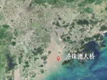 循着总书记关切，见证粤港澳大湾区新貌