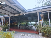 《总书记的回信》巴布亚新几内亚篇