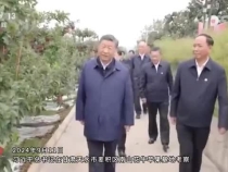 总书记关心的“土特产” 连着乡村振兴的大事业