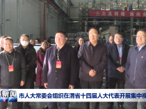 市人大常委会组织在渭省十四届人大代表开展集中视察