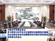 市委召开常委会会议 学习贯彻习近平总书记重要讲话重要指示精神 传达省委全会有关部署要求 研究我市贯彻落实工作 陈晓勇主持会议