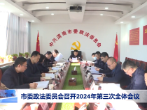 市委政法委员会召开2024年第三次全体会议