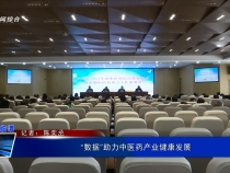 “數據”助力中醫藥產業健康發展