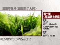 预告丨电视专题片《反腐 为了人民》第一集今晚八点档央视综合频道播出
