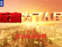 电视专题片《反腐为了人民》第一集《惩治蝇贪蚁腐》