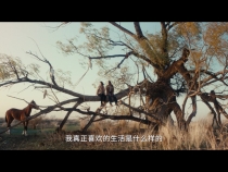 我的阿勒泰