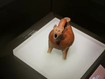 第1集 红陶兽形壶