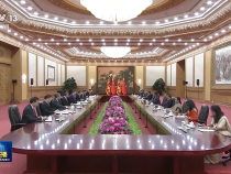 习近平同斯里兰卡总统迪萨纳亚克会谈