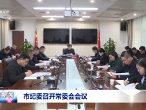 市纪委召开常委会会议