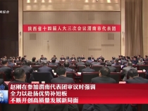 赵刚在参加渭南代表团审议时强调 全力以赴扬优势补短板 不断开创高质量发展新局面