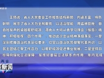王琦审议省人大常委会工作报告