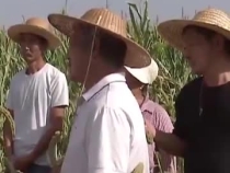 总书记心系的“头等大事”