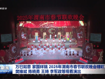 万巳如意 家国祥瑞 2025年渭南市春节联欢晚会精彩上演 樊维斌陈晓勇王琦李军政等观看演出