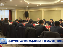 市委六届八次全会暨市委经济工作会议进行分组讨论
