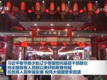 习近平春节前夕赴辽宁看望慰问基层干部群众