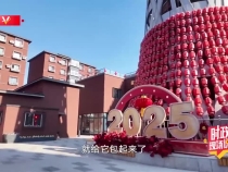 时政现场说丨幸福长安 中国年