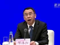 暖人心、聚人气、接地气——2025年春节文旅活动形式多样