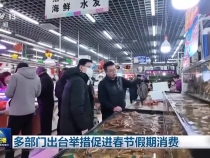 多部门出台举措促进春节假期消费