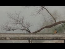 春节暖心短片《知心人》