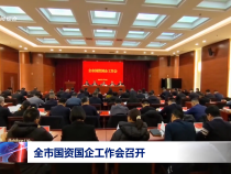 全市国资国企工作会召开