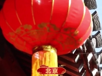 学习新语·春节｜“拜年啦”