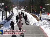 【深情的牵挂】富民产业 助力乡村全面振兴
