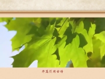温故·贺新：东风随春归，发我枝上花