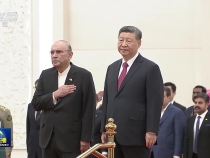 习近平在人民大会堂北大厅为扎尔达里举行欢迎仪式