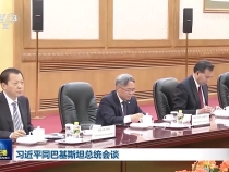 习近平同巴基斯坦总统扎尔达里会谈