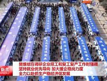 樊维斌在调研企业招工和复工复产工作时强调 坚持就业优先 强化援企稳岗 全力以赴打好稳就业促增收硬仗