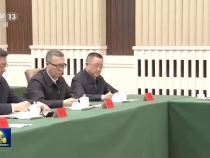 △视频丨习近平听取吉林省委和省政府工作汇报