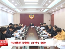市政协召开党组（扩大）会议
