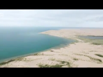 鱼跃青海湖
