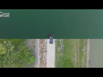 绿水青山间丨海岸线上的绿色“国宝”