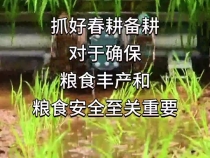 又是一年春耕时 习近平牵挂的大国“粮”事