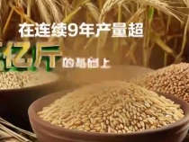 强国之路｜勤耕接续 农业丰饶