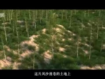 绿水青山间｜沙海中的绿色交响