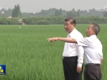 【新思想引领新征程】科技加力赋能 绘就农业现代化新图景