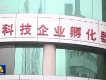 “数字杭州”科技引领活力奔涌