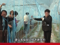 市人大代表马红丽：加大对大荔冬枣精深加工的支持  延链补链强链