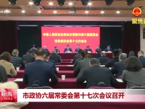 市政協六屆常委會第十七次會議召開