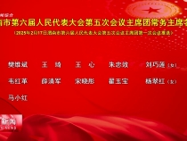 渭南市第六屆人民代表大會第五次會議主席團常務主席名單
