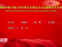 渭南市第六屆人民代表大會第五次會議副秘書長名單